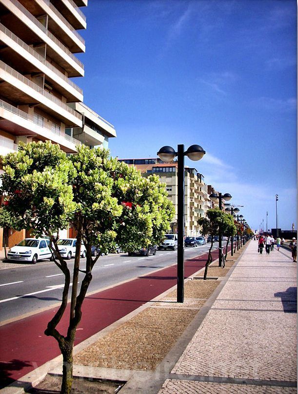 Place Avenida dos Banhos