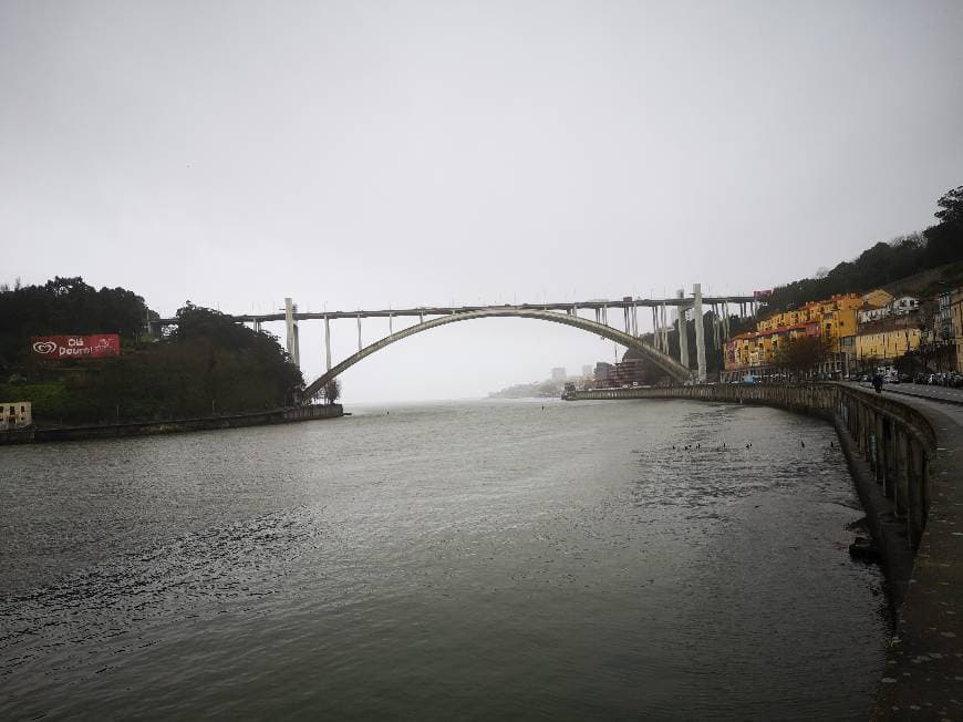 Place Ponte da Arrábida