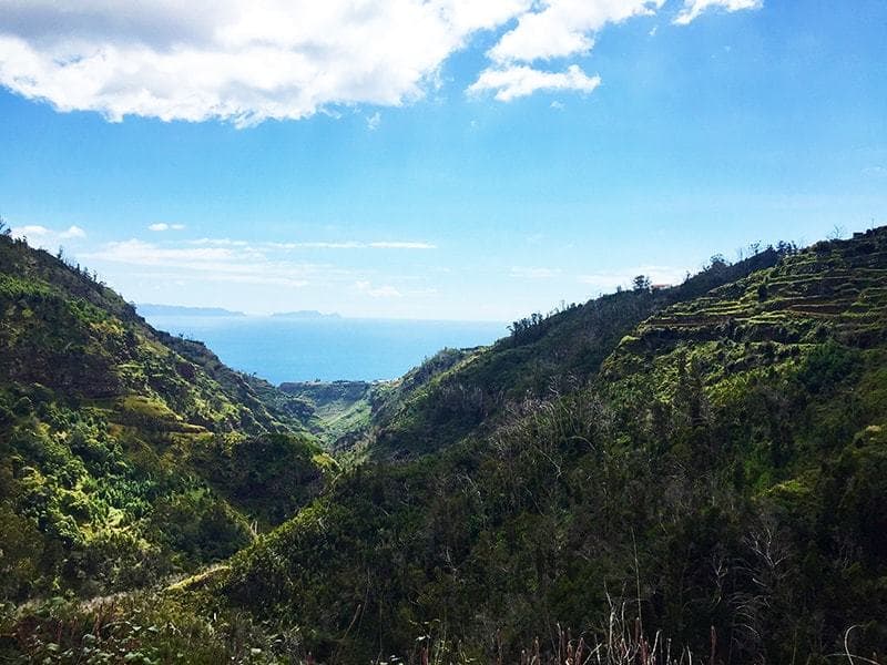 Place Camacha - Levada do Caniço