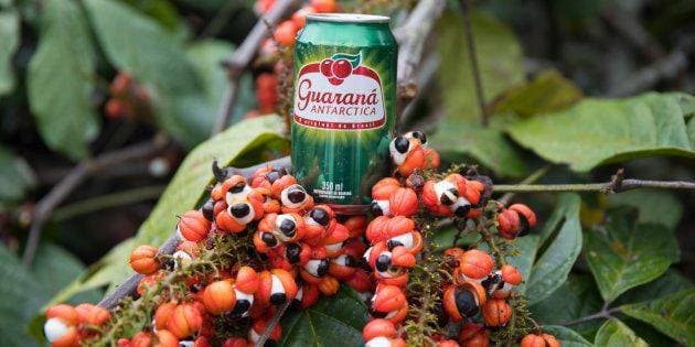 Fashion Guaraná