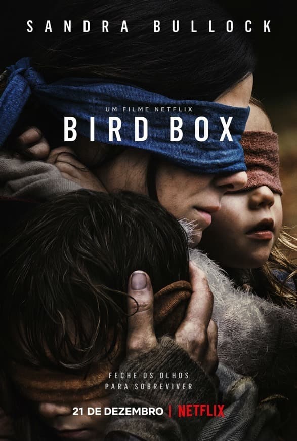 Película Bird Box