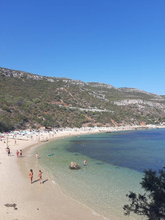 Lugar Praia dos Galapinhos