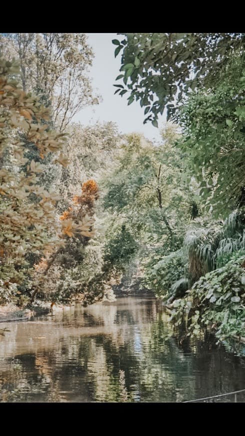 Lugar Parque de Serralves