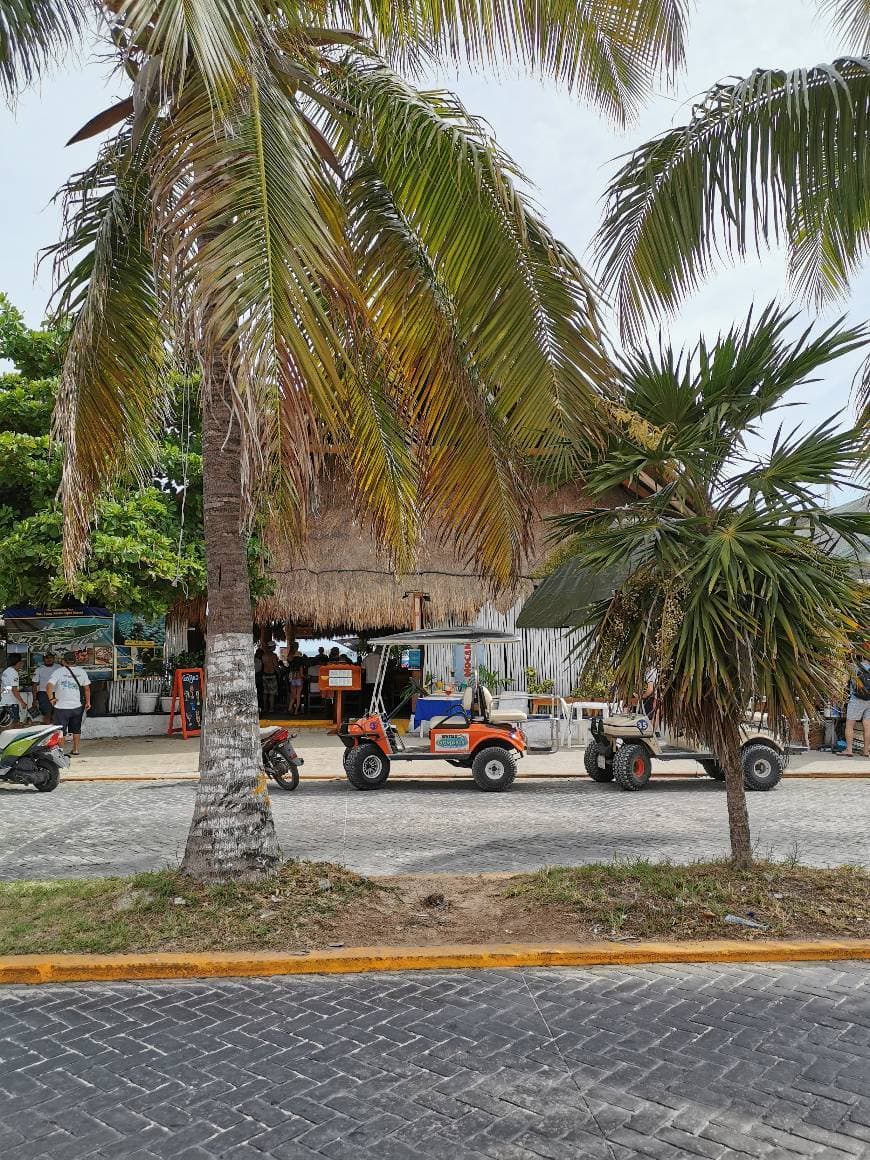 Lugar Isla Mujeres