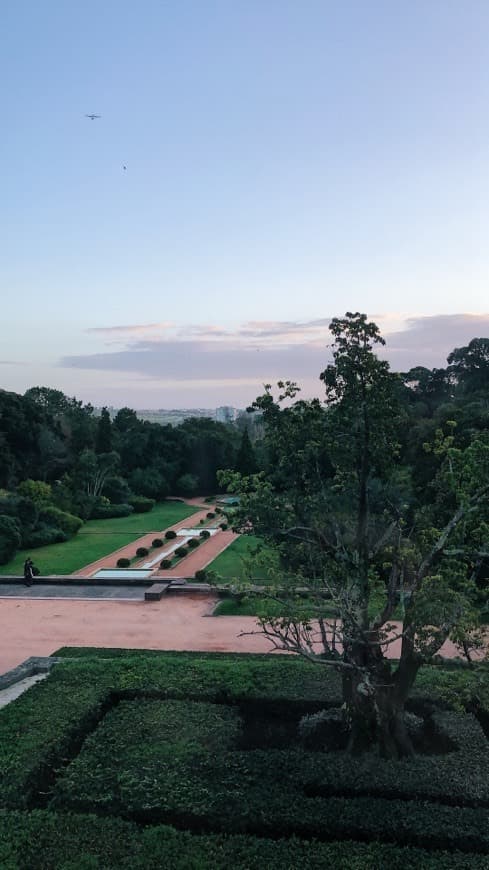 Place Museo Serralves