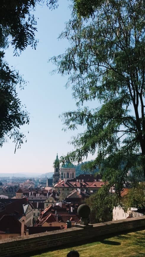 Lugar Prague Castle View