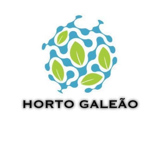 Fashion Horto Galeão - sempre a mão ✔️