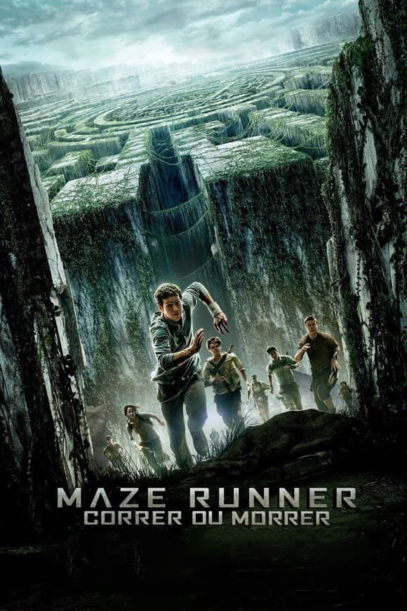 Movie Maze Runner 