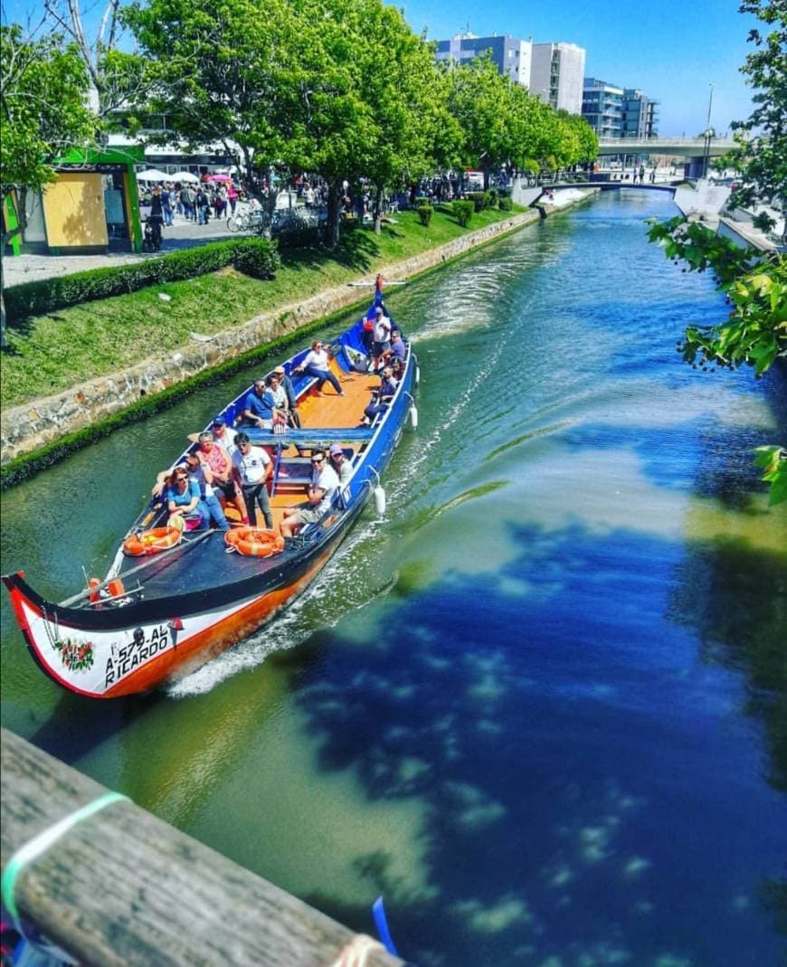 Place Aveiro City Center