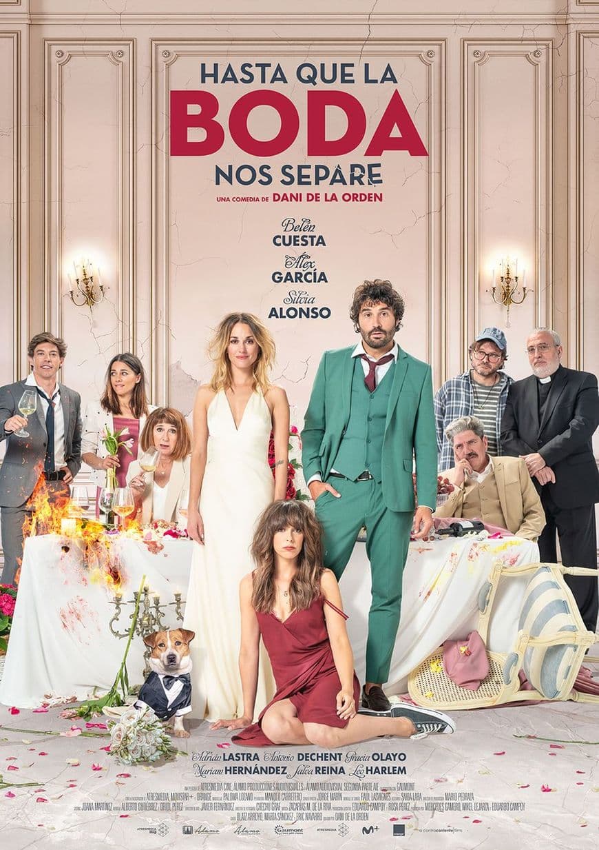 Película The Wedding Unplanner