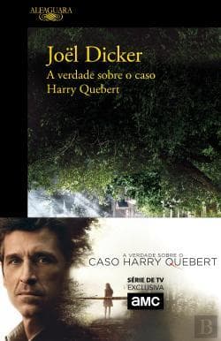 Book A Verdade sobre Harry Quebert