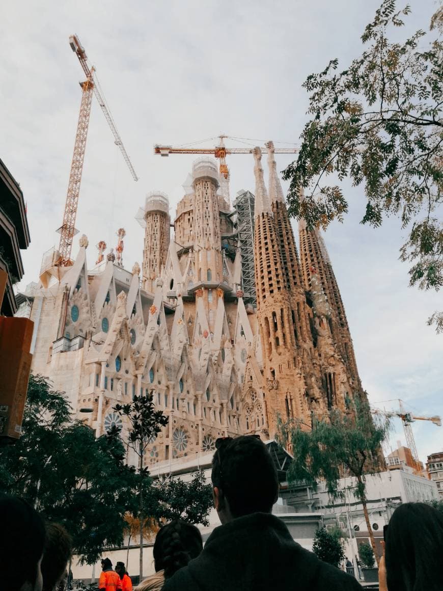 Lugar Basílica Sagrada Familia