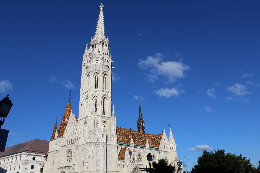 Place Matthias Church