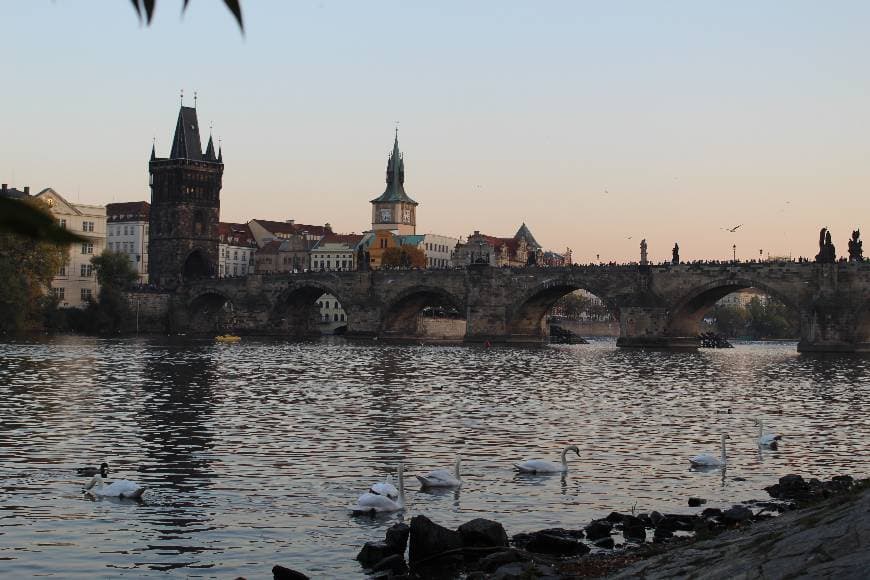 Place Charles Bridge