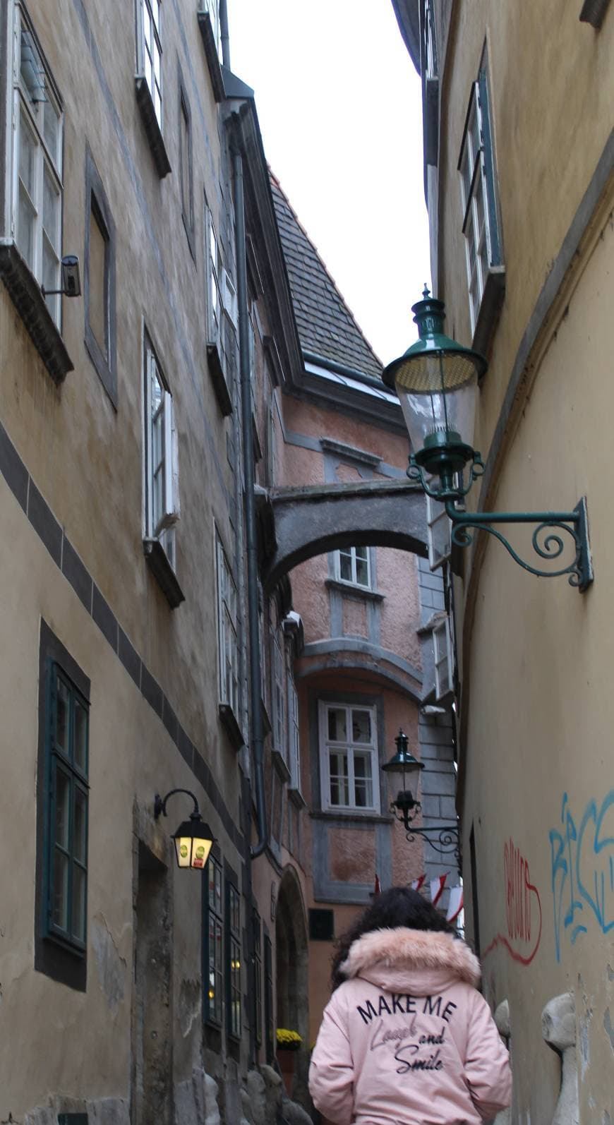 Place Fleischmarkt