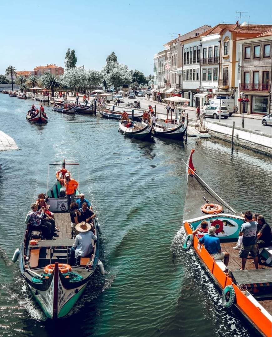 Place Canal Central de Aveiro