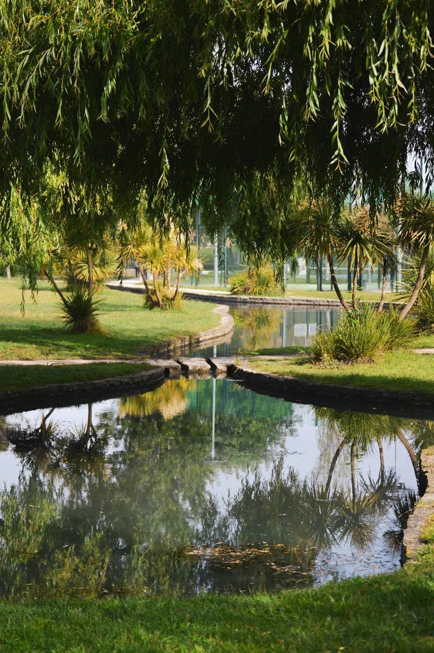 Place Parque de Santo António