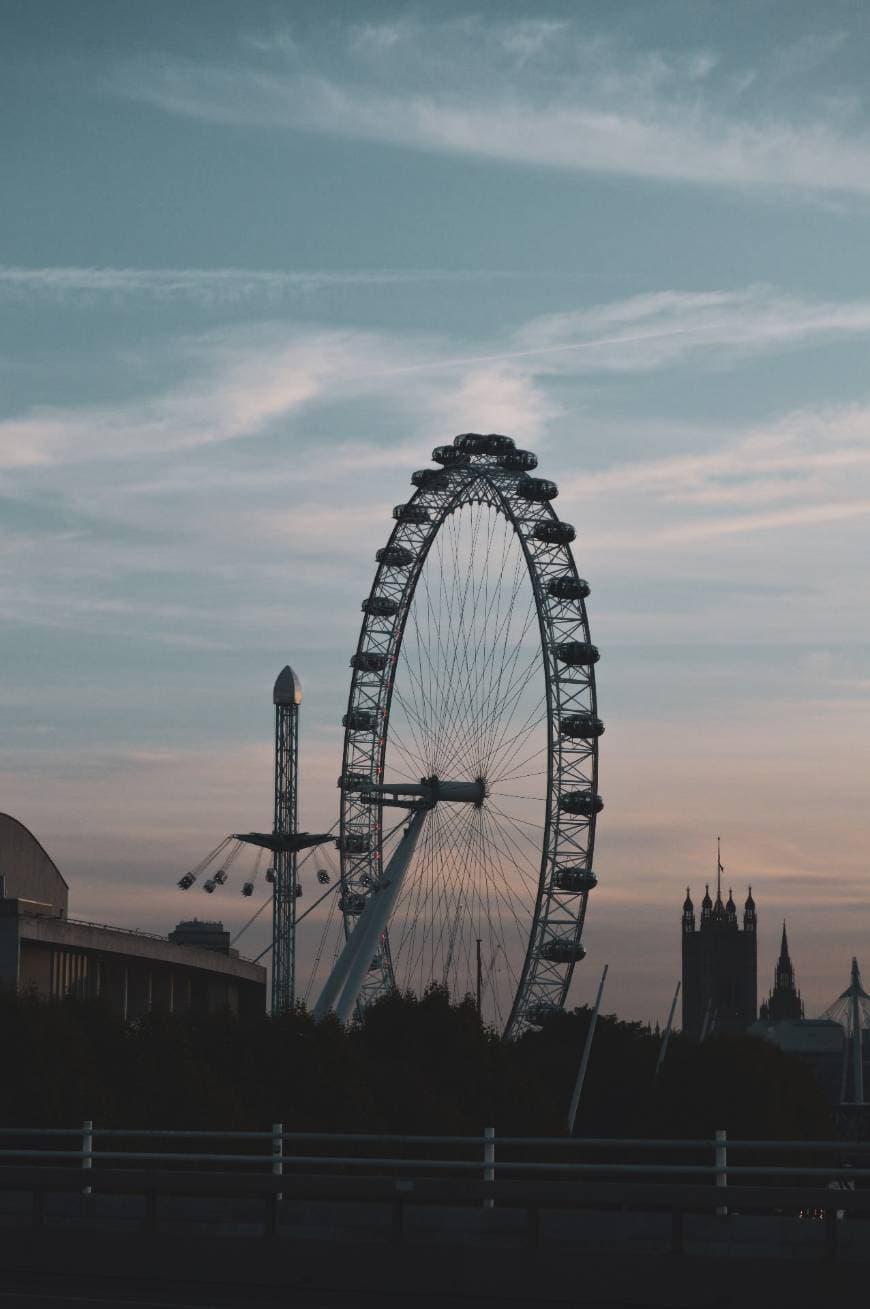 Place London Eye