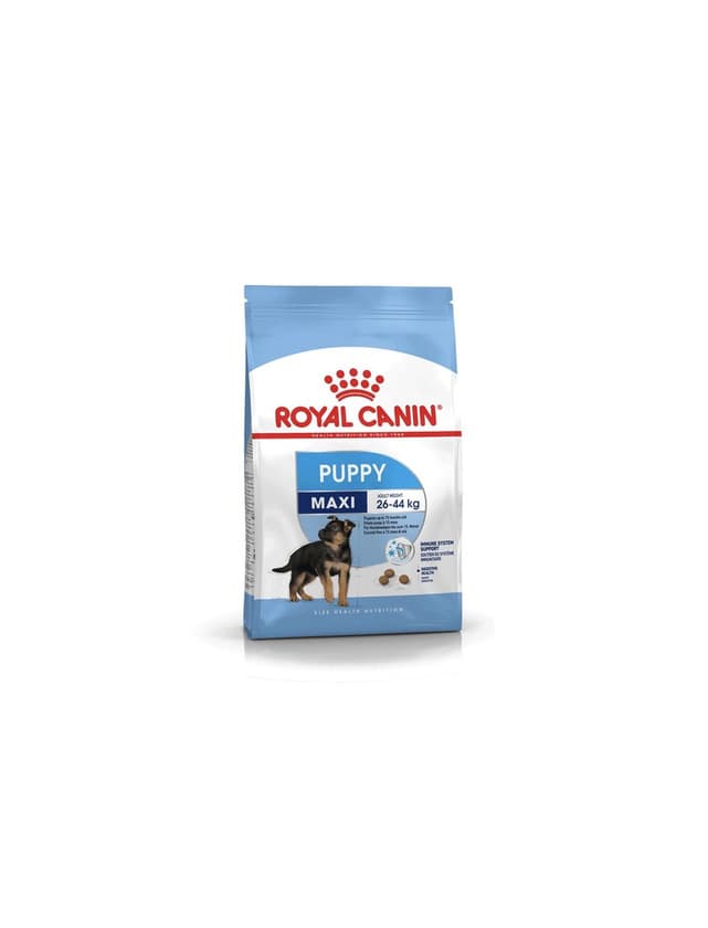 Product Royal Canin Maxi Puppy 