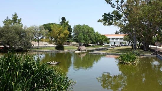 Lugar Parque Forestal de Monsanto