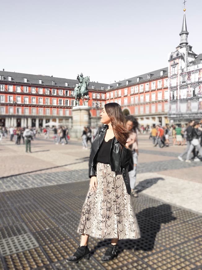 Place Plaza Mayor