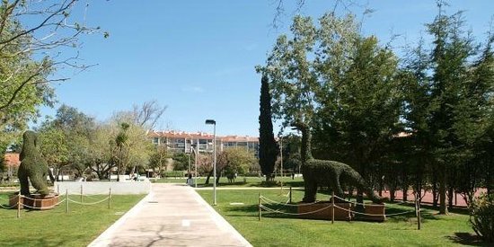 Lugar Jardim da Quinta da Alagoa