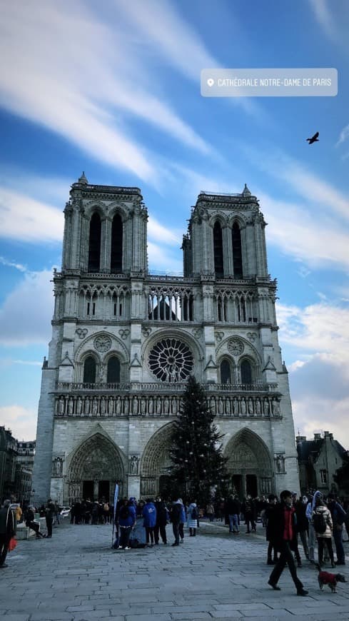 Lugar Notre Dame