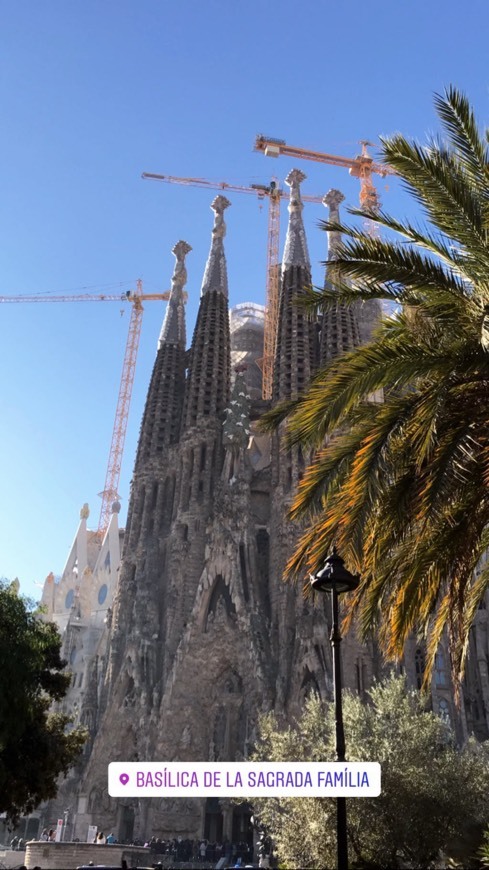 Lugar Basílica Sagrada Familia