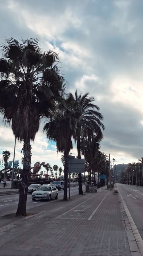 Lugar Paseo Marítimo de Badalona