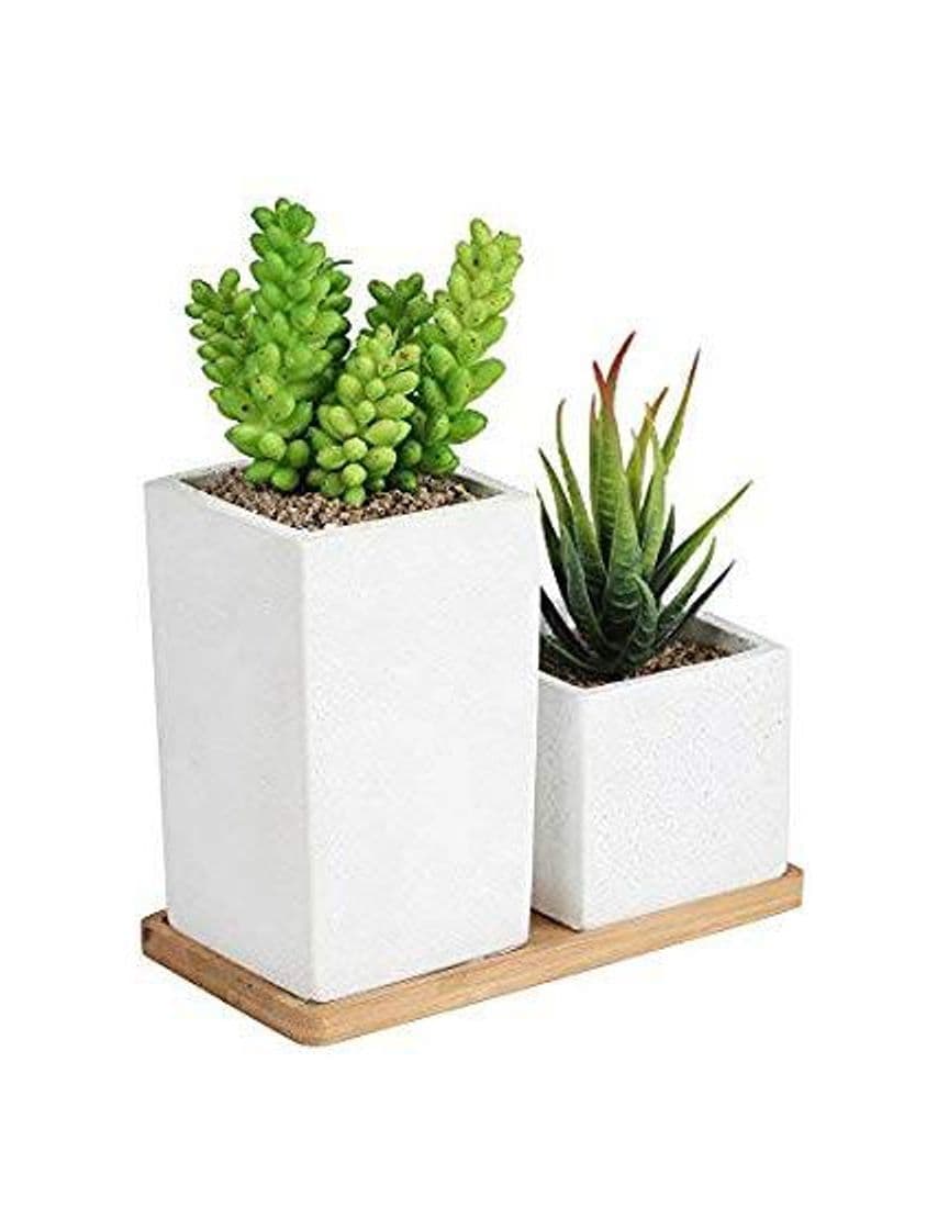 Producto 2 Piece Plant Decoration 