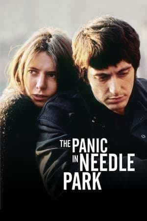 Movie The Panic in Needle Park