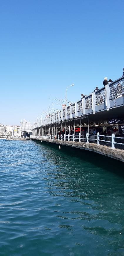 Place Galata Bridge