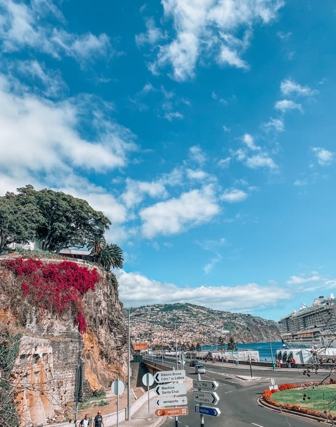 Place Marina do Funchal