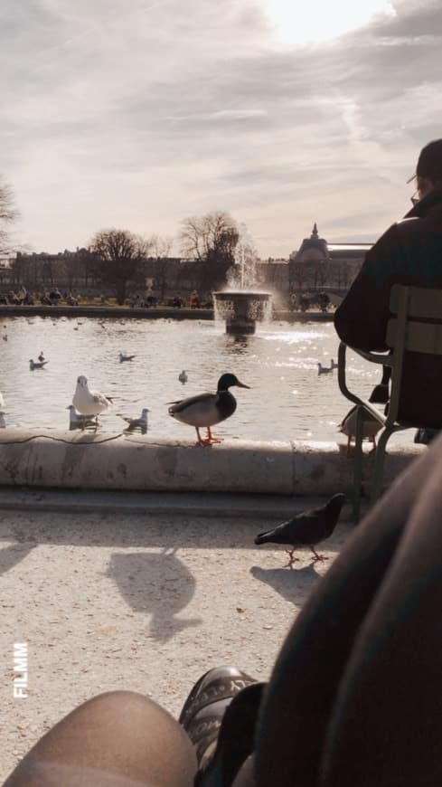 Place Jardin des Tuileries