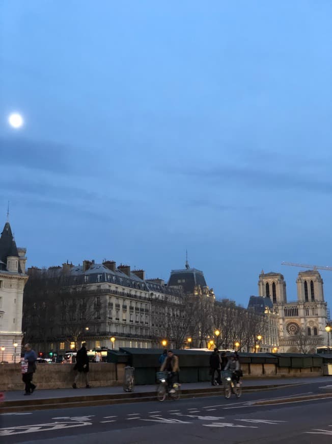 Place Quai des Grands Augustins