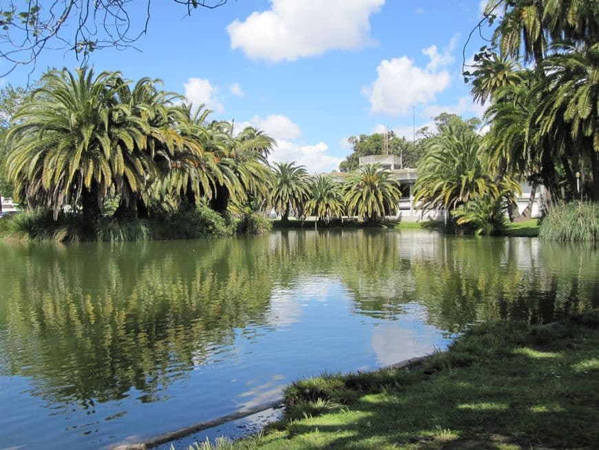 Place Jardim do Campo Grande