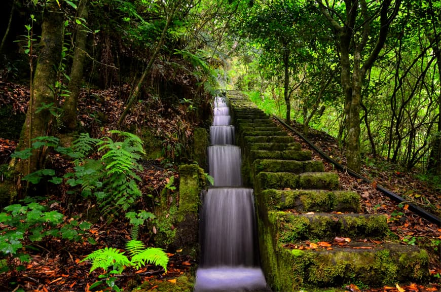 Place Parque Natural do Ribeiro Frio