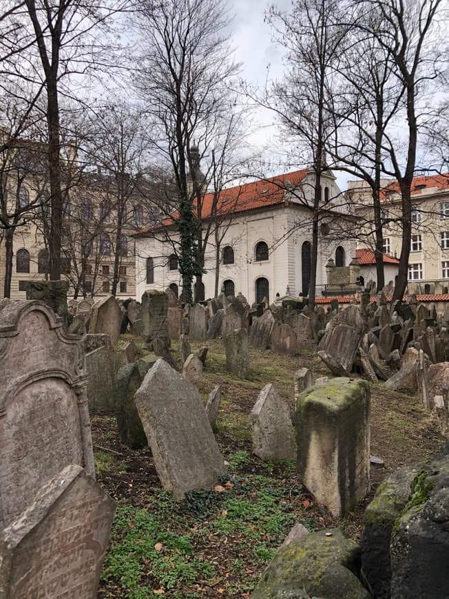 Place Old Jewish Cemetery