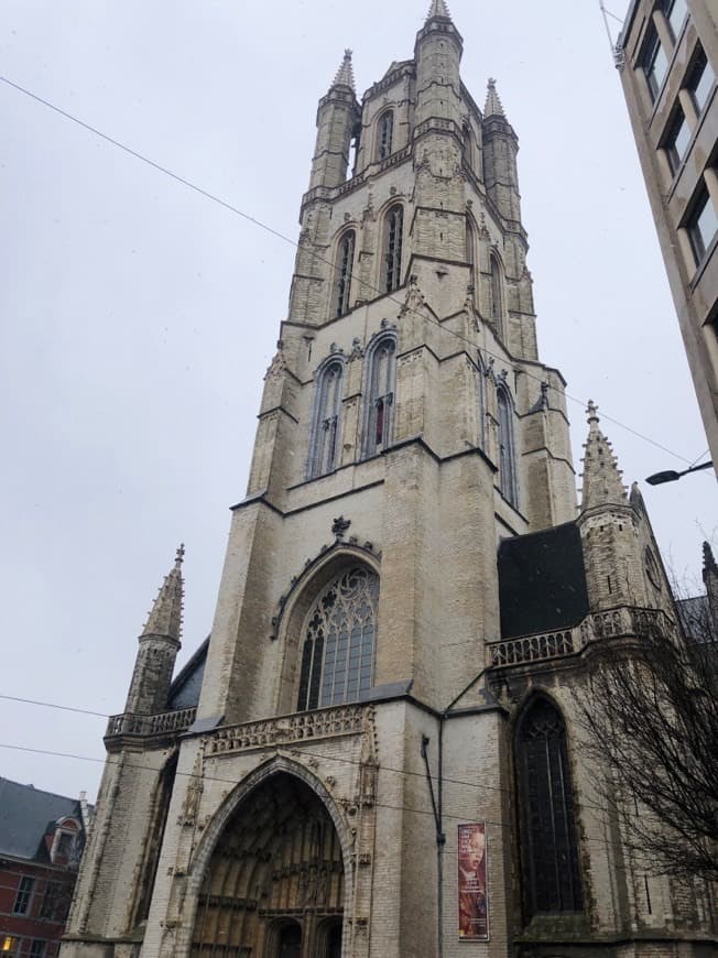 Place Catedral de San Bavón