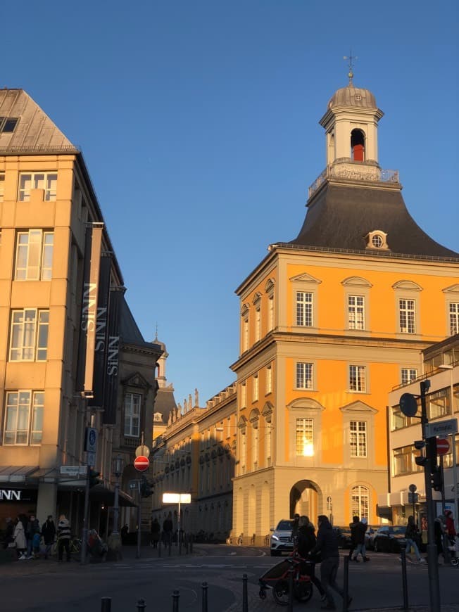 Place Electoral Palace, Bonn