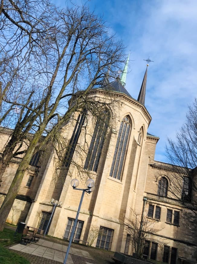 Place Catedral de Notre-Dame de Luxemburgo