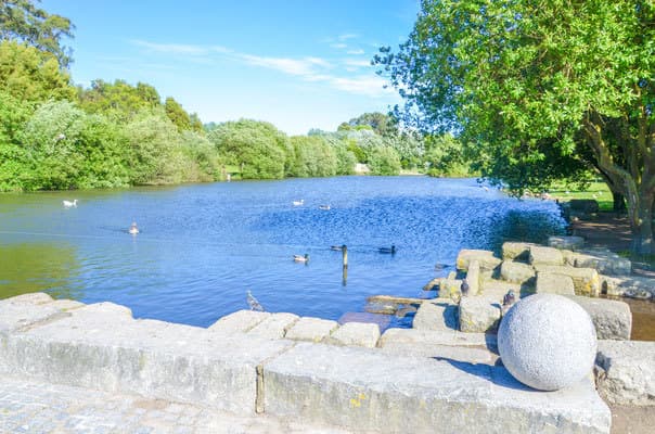 Lugar Parque da Cidade