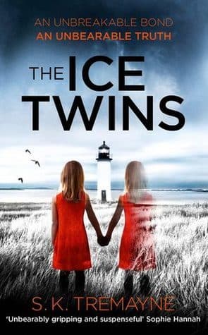 Book The ice twins