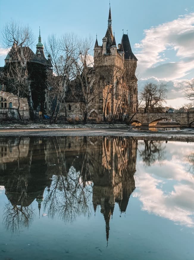 Place Castillo de Vajdahunyad