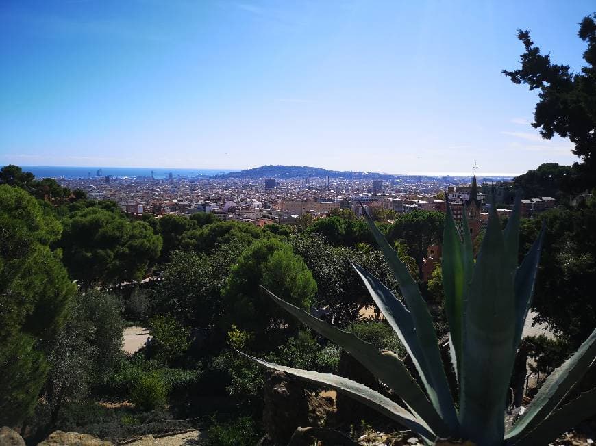 Place Parque Guell