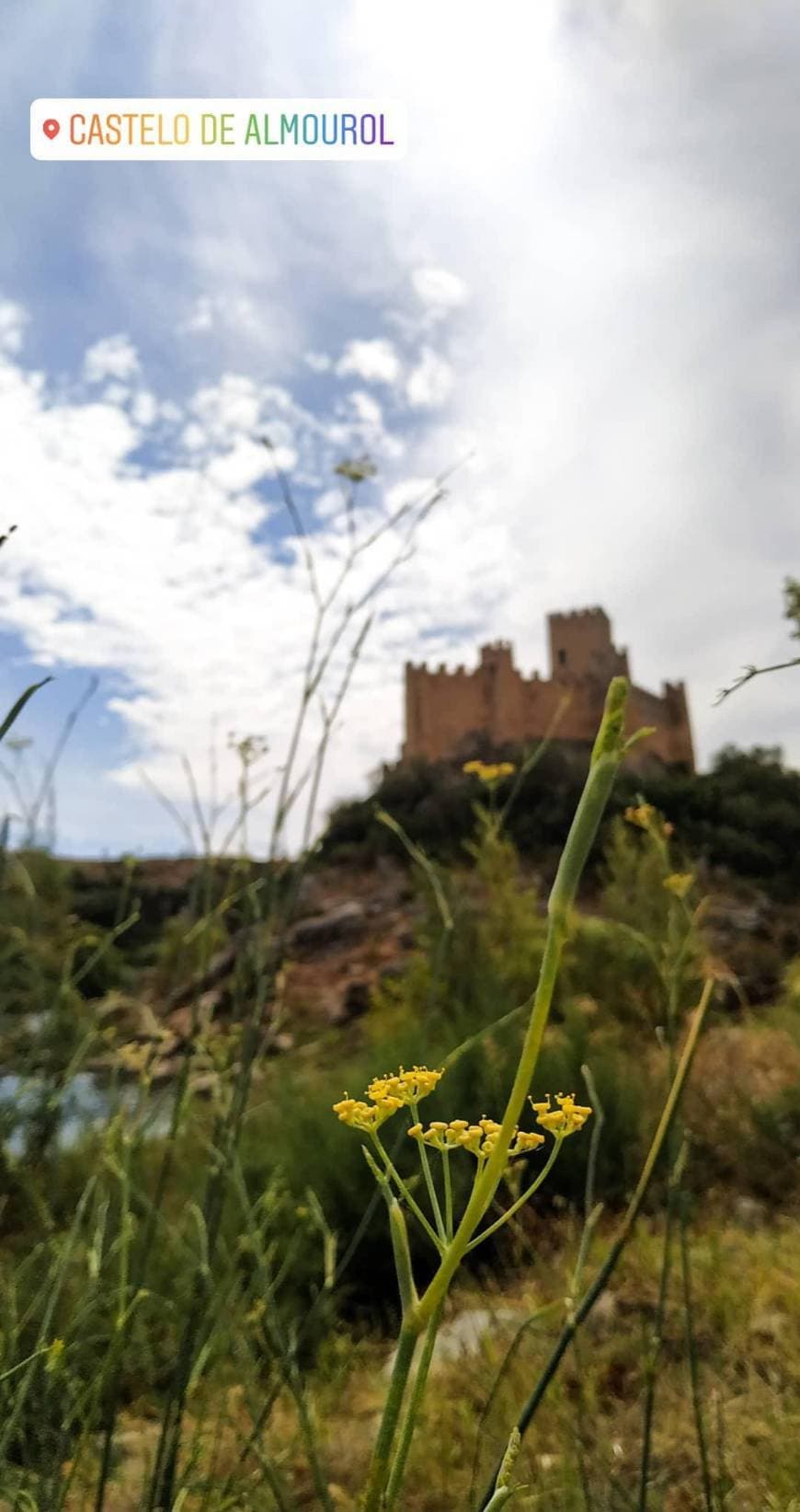 Place Castelo de Almourol