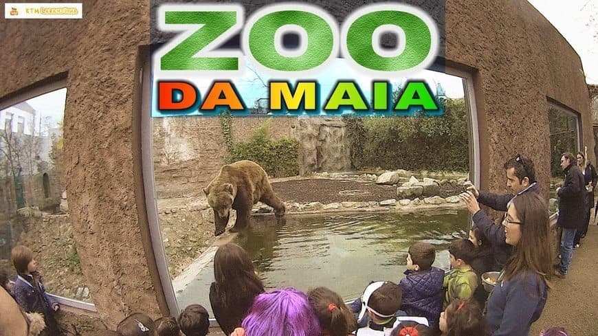 Place Zoo da Maia