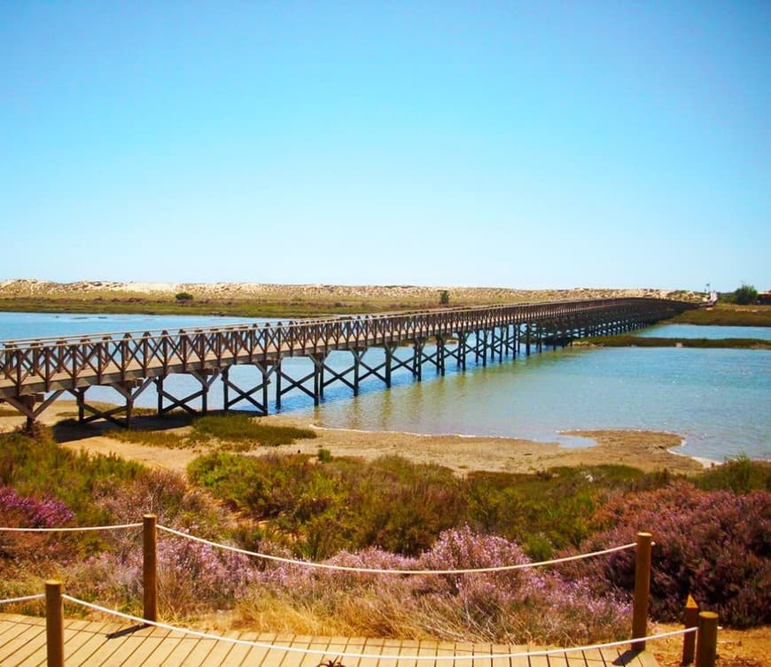 Lugar Quinta do Lago