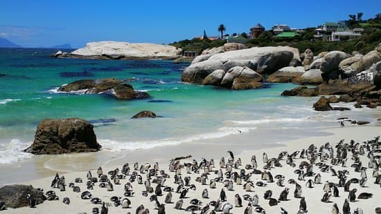 Lugar Boulders Beach