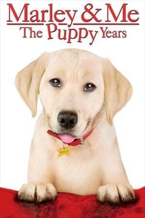 Película Marley & Me: The Puppy Years